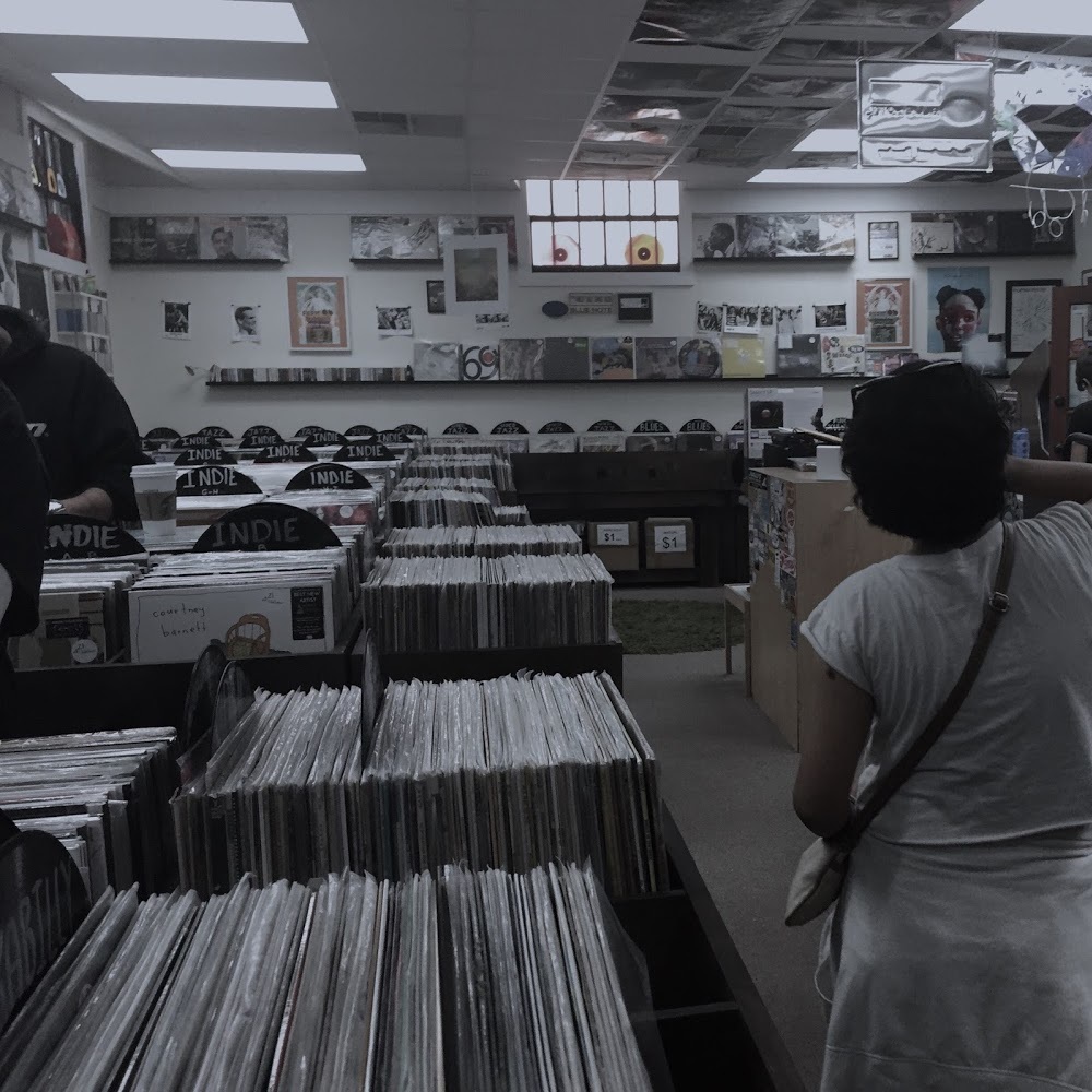 Meet your Posher, Lily